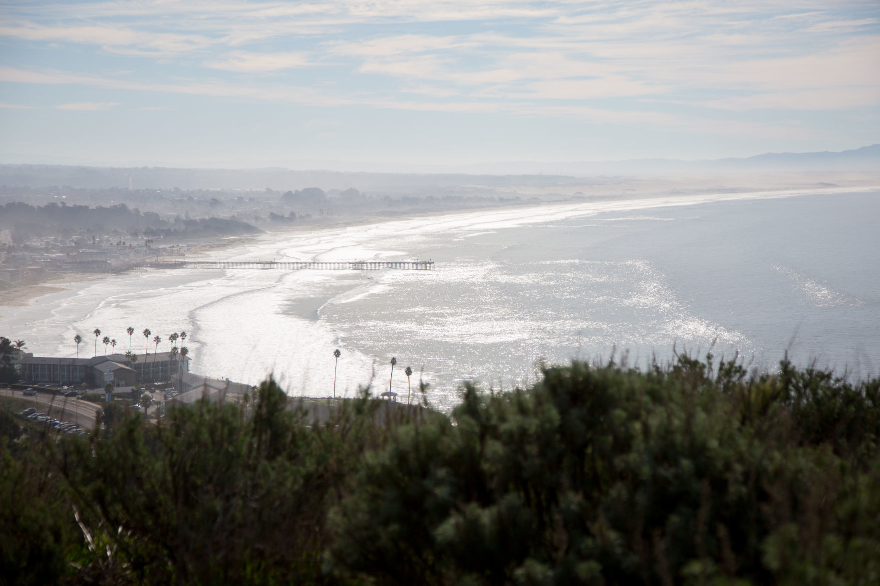 012520 Pismo Preserve 18.jpg